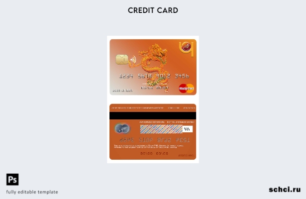 цифровая загрузка шаблона карты Mastercard банка Бутан Друк PNB